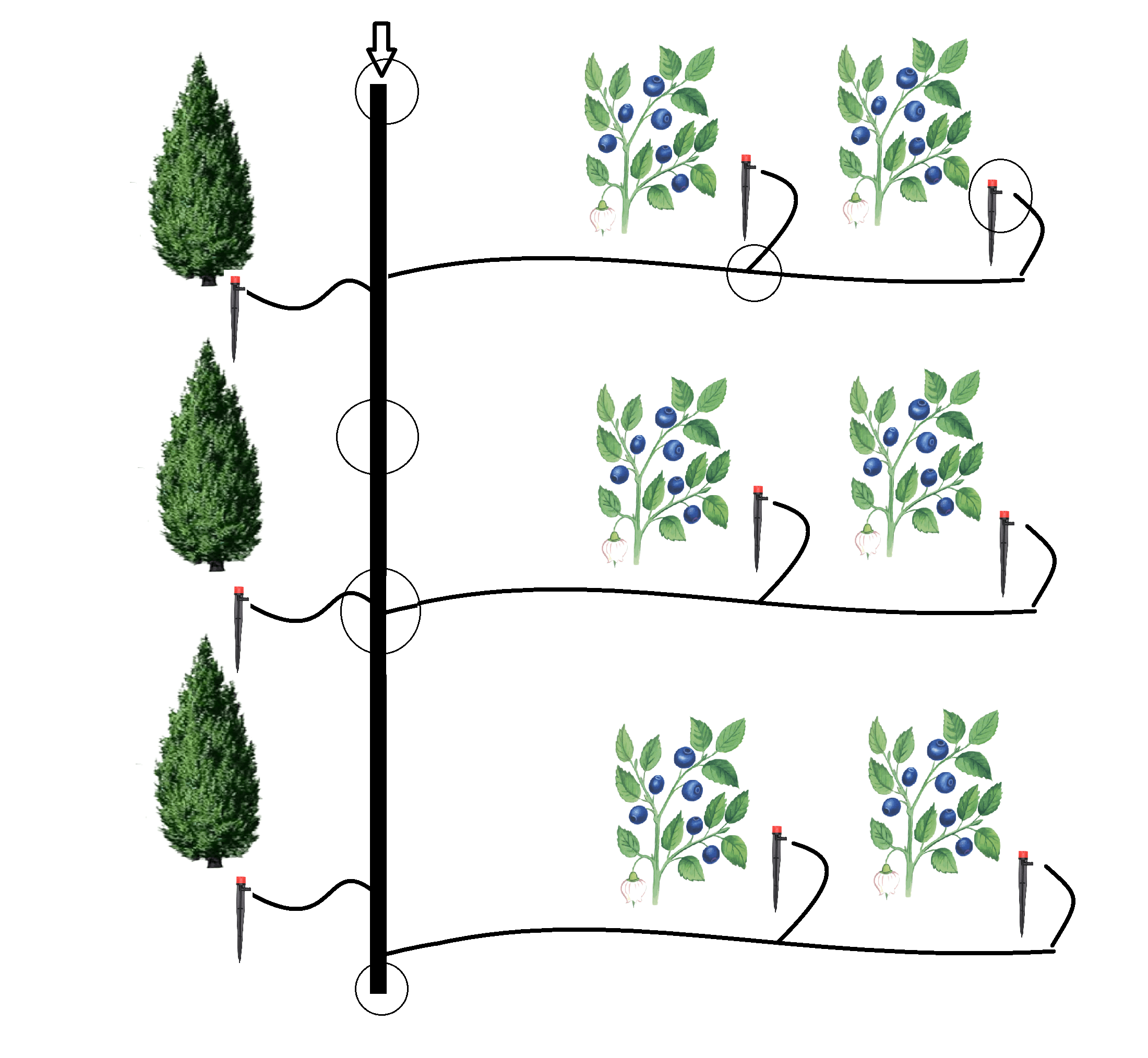 Система капельного полива для туй, кустов и деревьев GreenLine G (1520192)