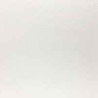 Плита потолочная ANGARA 600х600х7мм AL белая, РФ Плита потолочная ANGARA 600х600х7мм AL белая, РФ