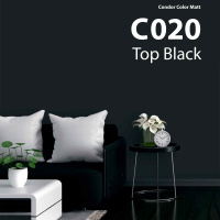 Краска в/д акриловая Condor Color Matt С020 черный, 2.5л/3.4 кг. РБ