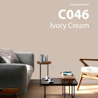 Краска в/д акриловая Condor Color Matt С046 бежевый, 2.5л/3.4 кг. РБ