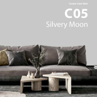 Краска в/д акриловая Condor Color Matt С05 светло-серый, 2.5л/3.4 кг. РБ