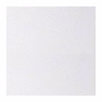 Плита потолочная NEVADA Board Ecomin 600х600х12мм. РФ 